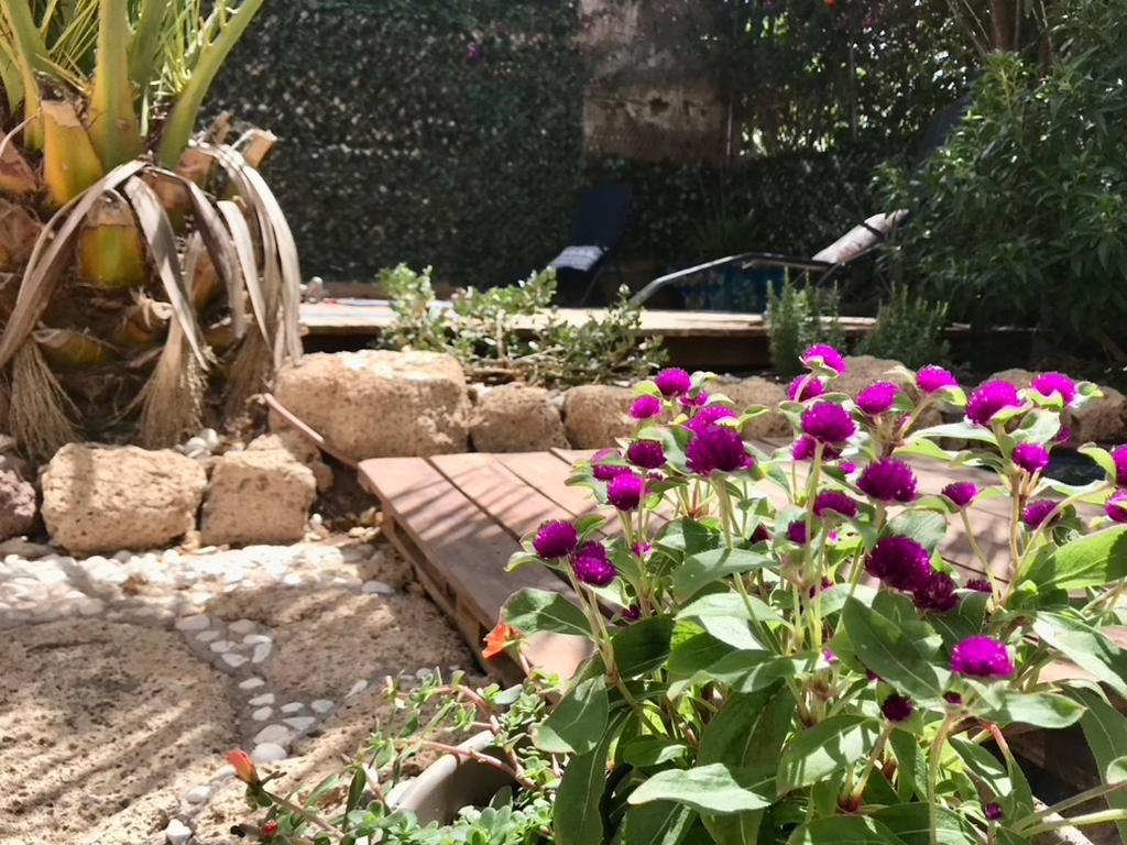 Casa Vivaqi Tenerife Granadilla De Abona Zewnętrze zdjęcie